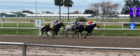 different horse bets|Different Horse Racing Bets: A Quick Guide.